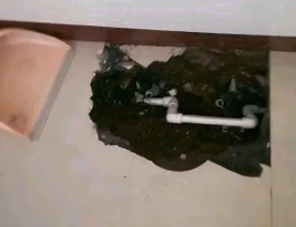 琼海卫生间测漏水多少钱